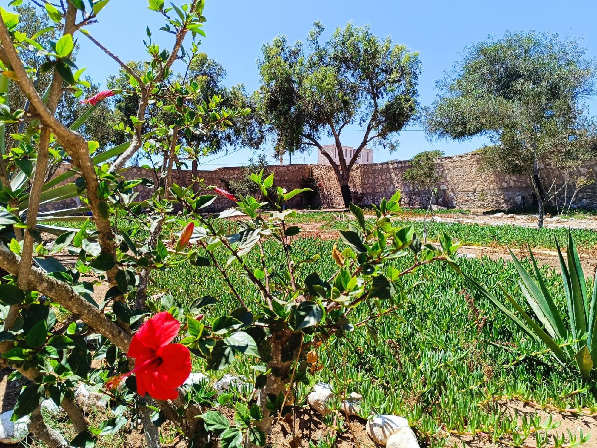L'Abri Cotier De Dar Nezza Apartman Sidi Kaouki Kültér fotó